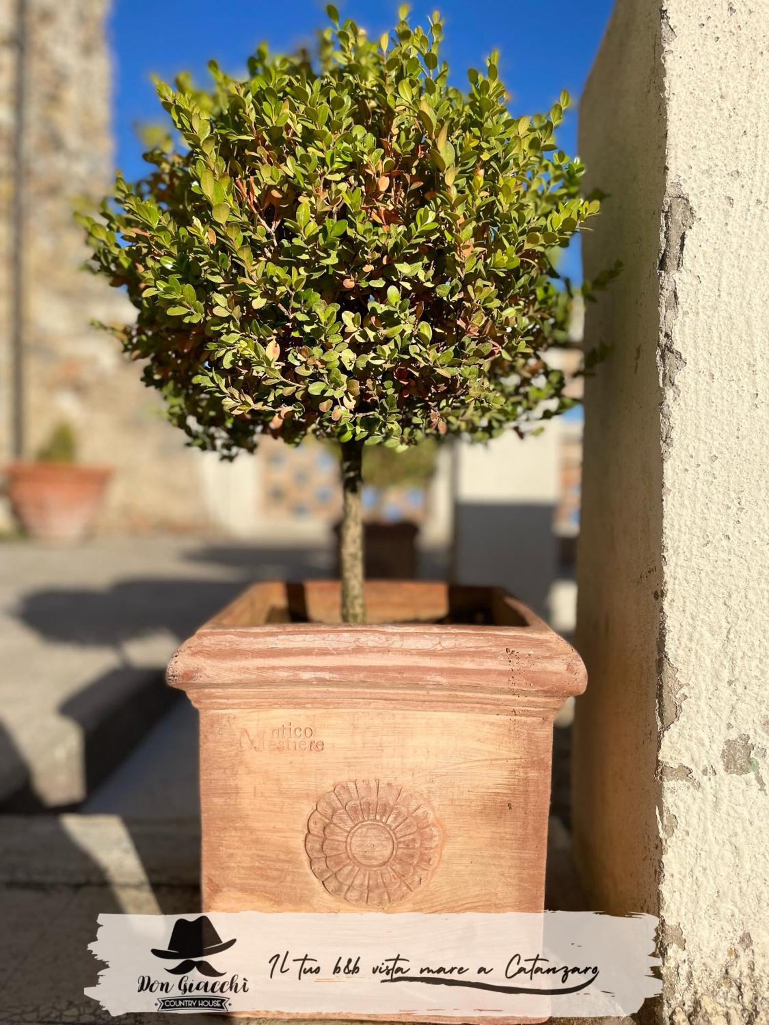 Don Giacchi Country House Catanzaro Exterior photo