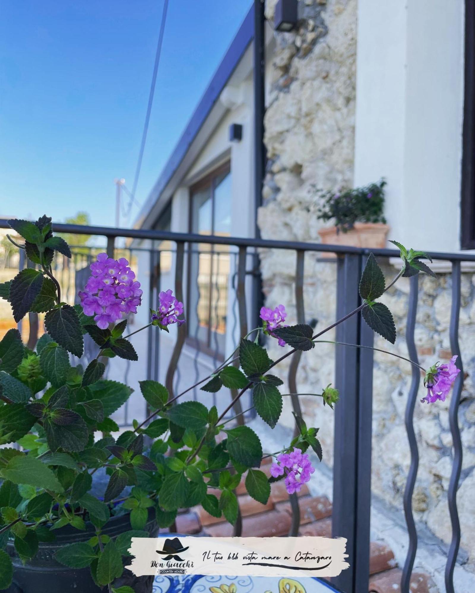 Don Giacchi Country House Catanzaro Exterior photo