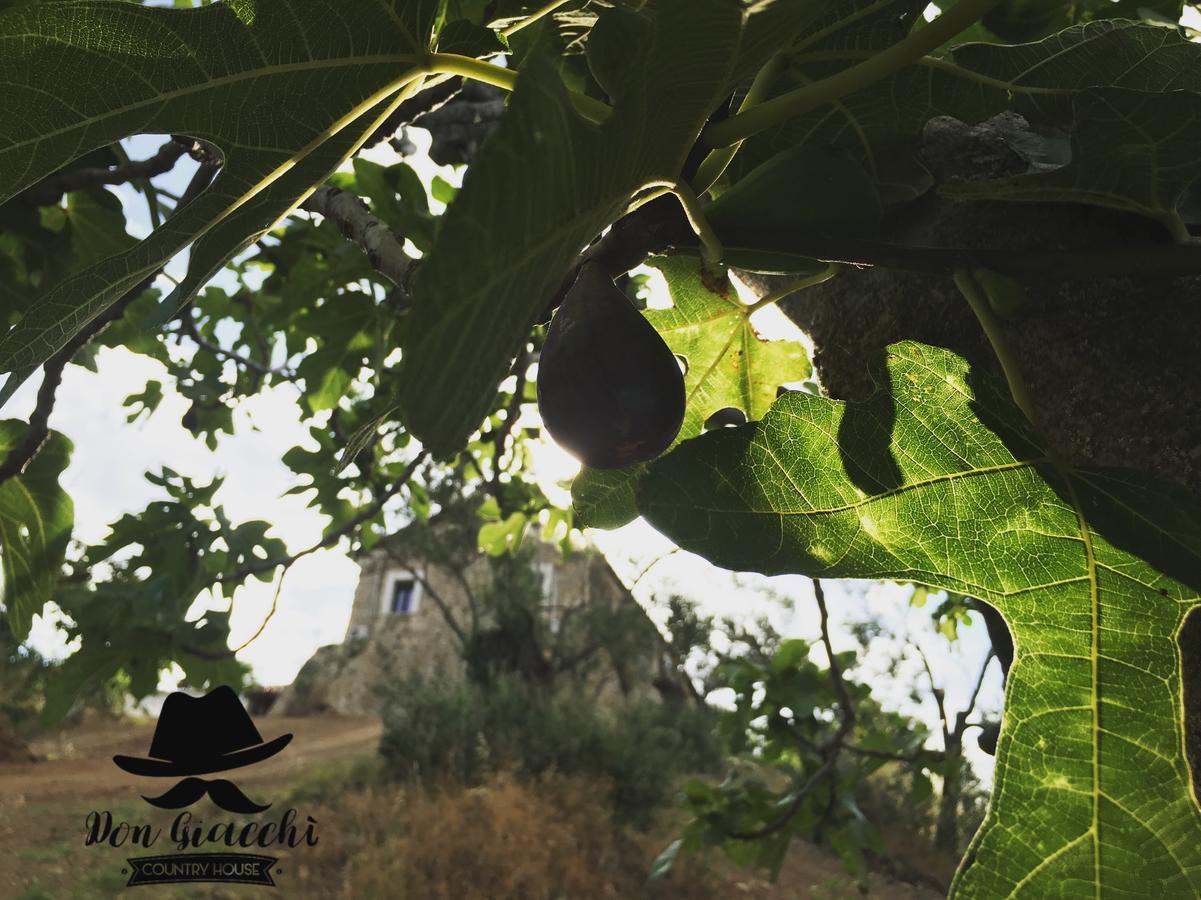 Don Giacchi Country House Catanzaro Exterior photo